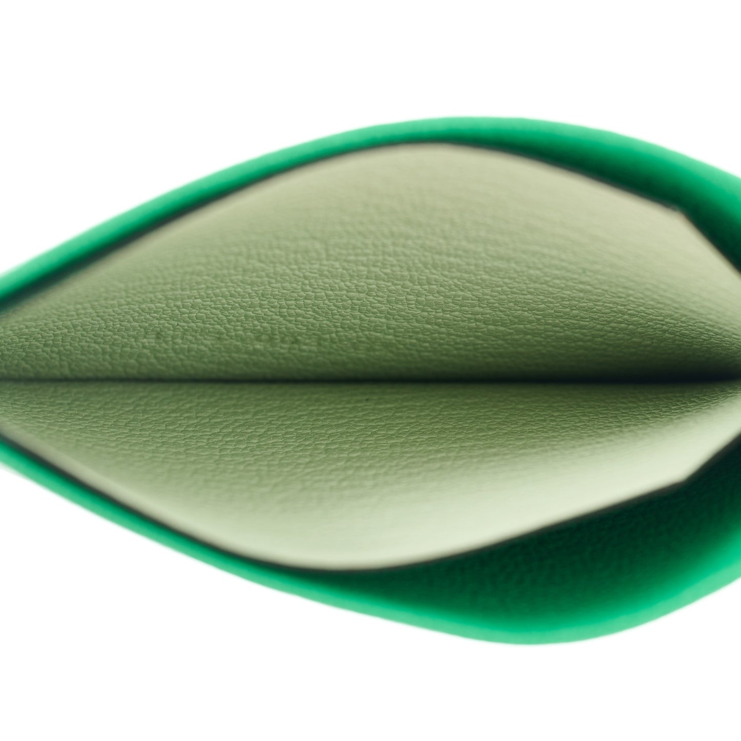 Chevre Mysore Sellier Card Holder Vert Comics Vert Fizz