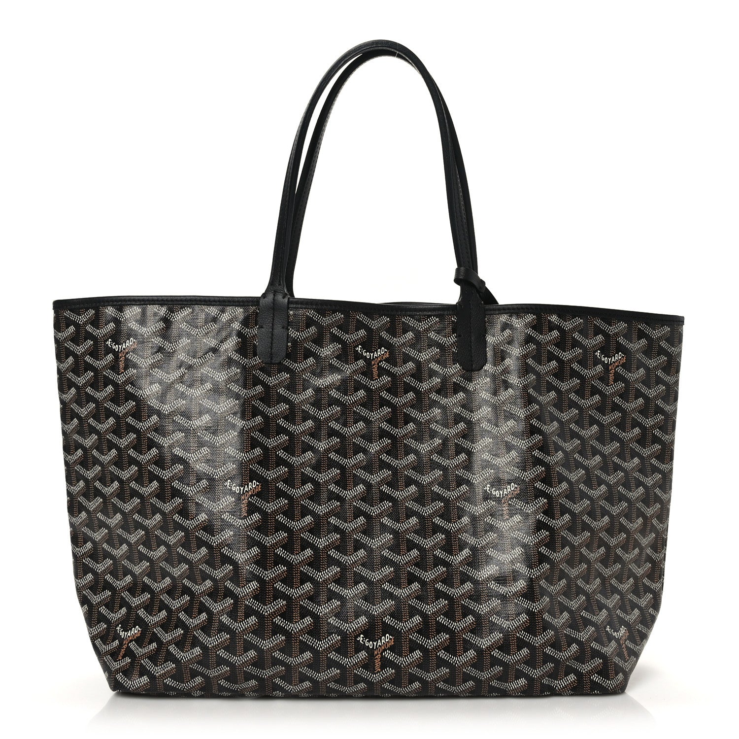 Goyard Goyardine Saint Louis PM Black 1 of 10