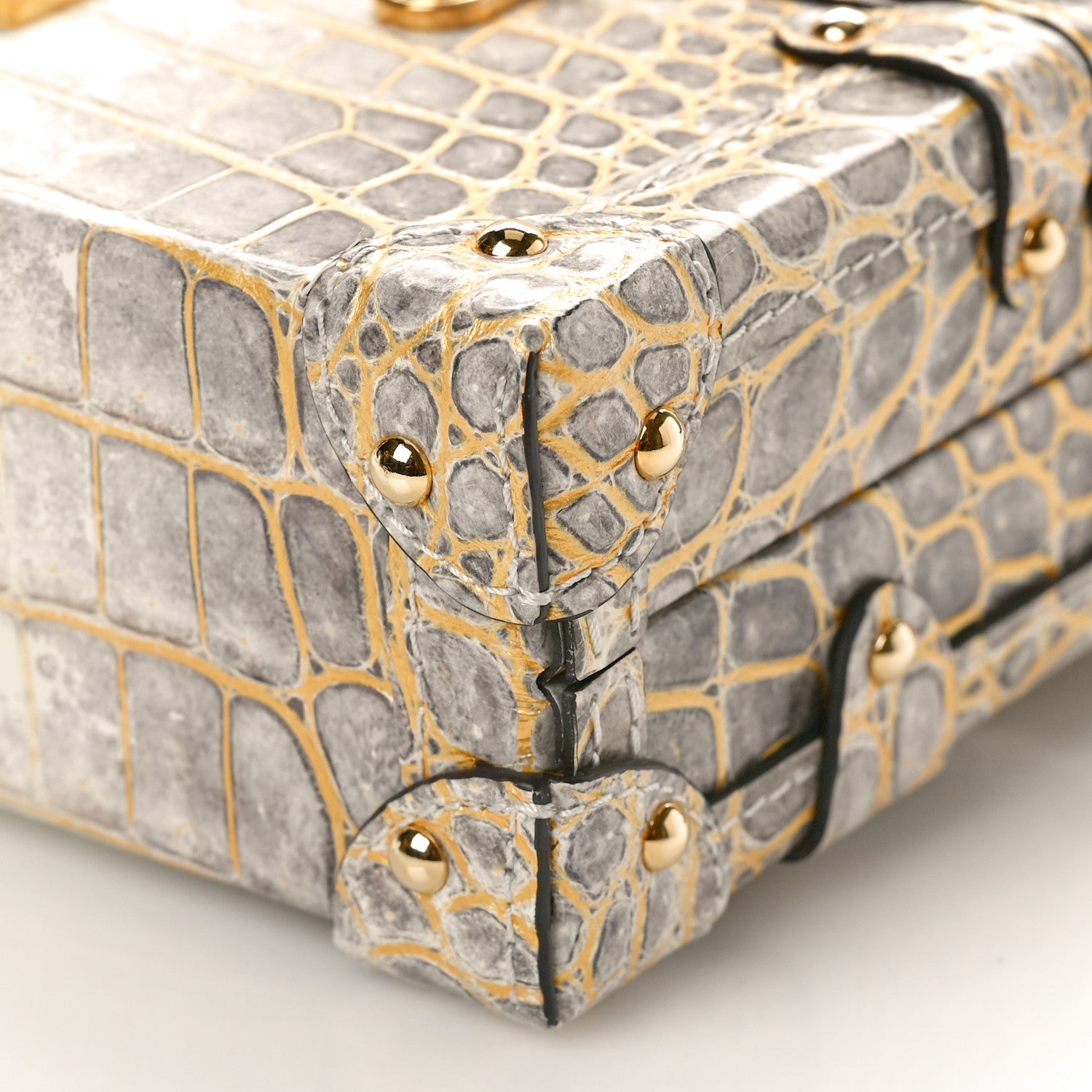 Louis Vuitton Alligator Petite Malle Natural White 9 of 9