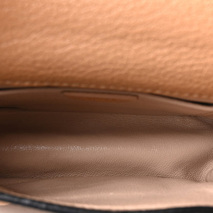 Chloe Goatskin Mini Elsie Shoulder Bag Beige 5 of 10