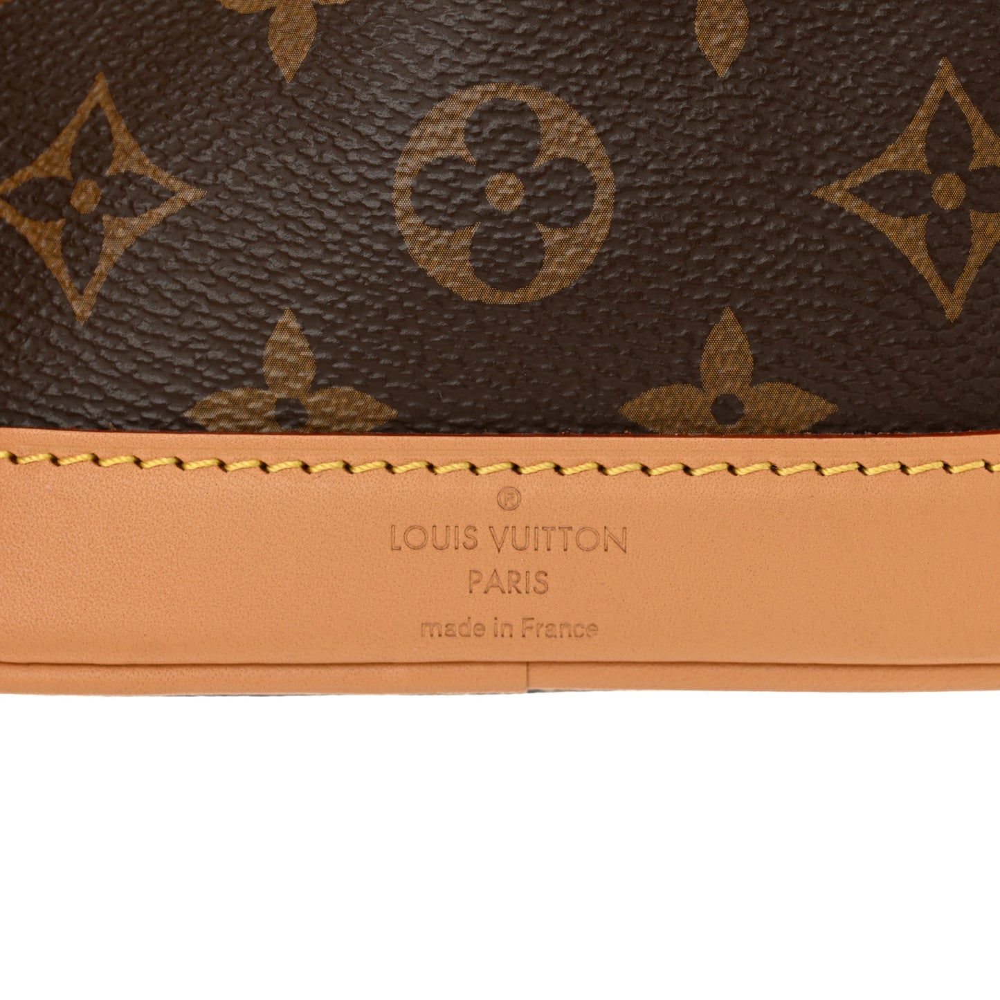 Monogram Nano Noe NV