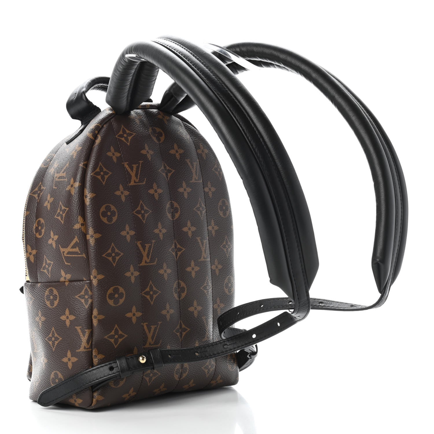 Louis Vuitton Monogram Palm Springs Backpack PM 3 of 9