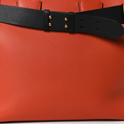 Burberry Soft Grain Calfskin Medium Belt Bag Clementine 7 of 11