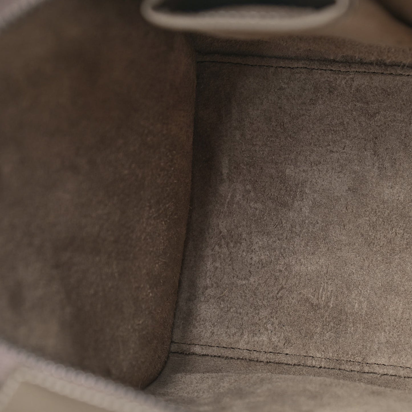 Drummed Calfskin Micro Luggage Souris