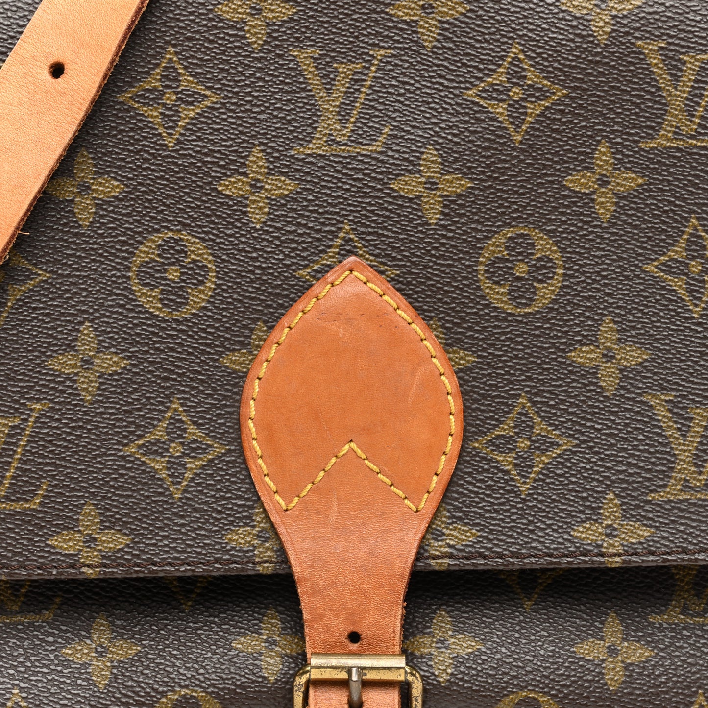 Monogram Cartouchiere 22