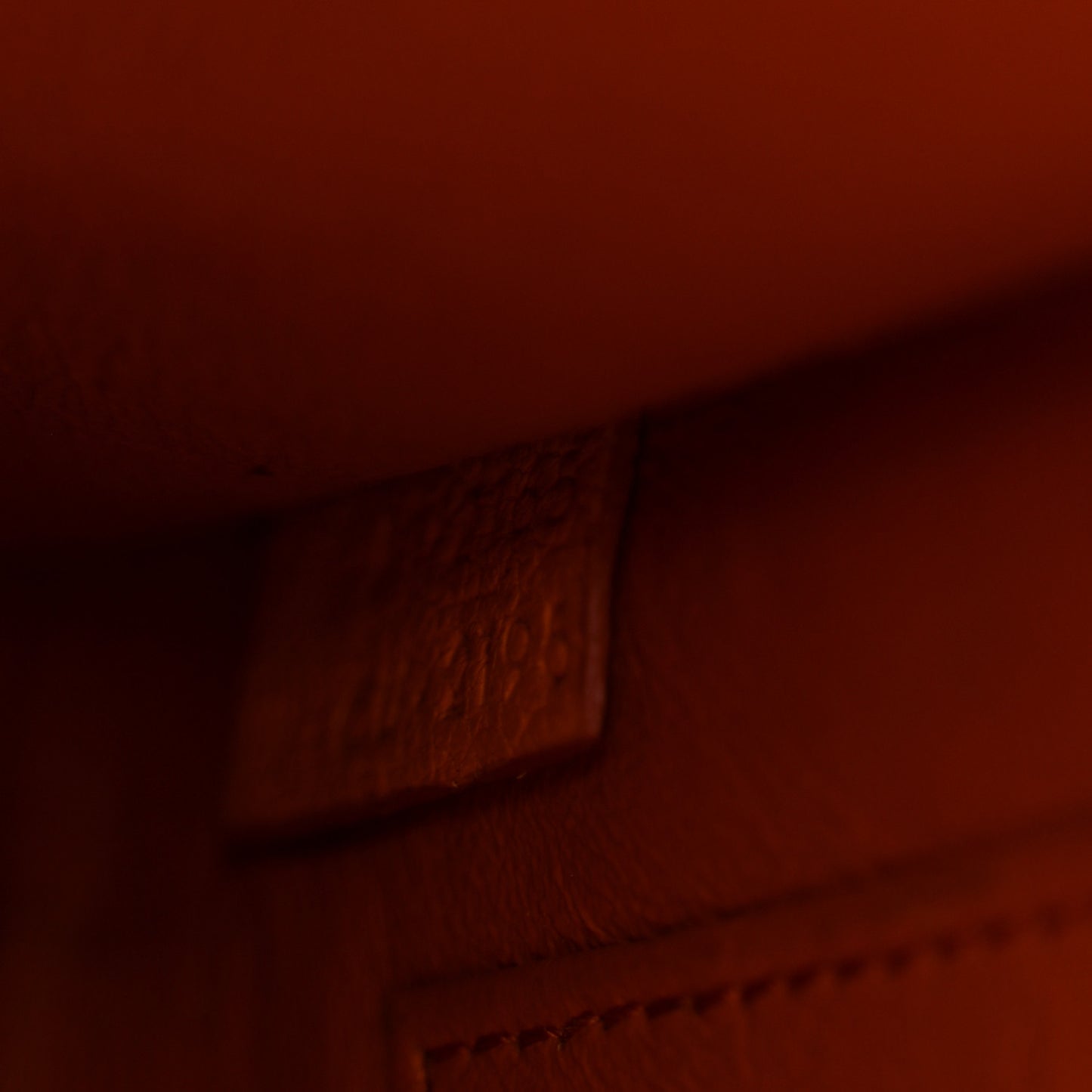 Goatskin Nano Luggage Orange