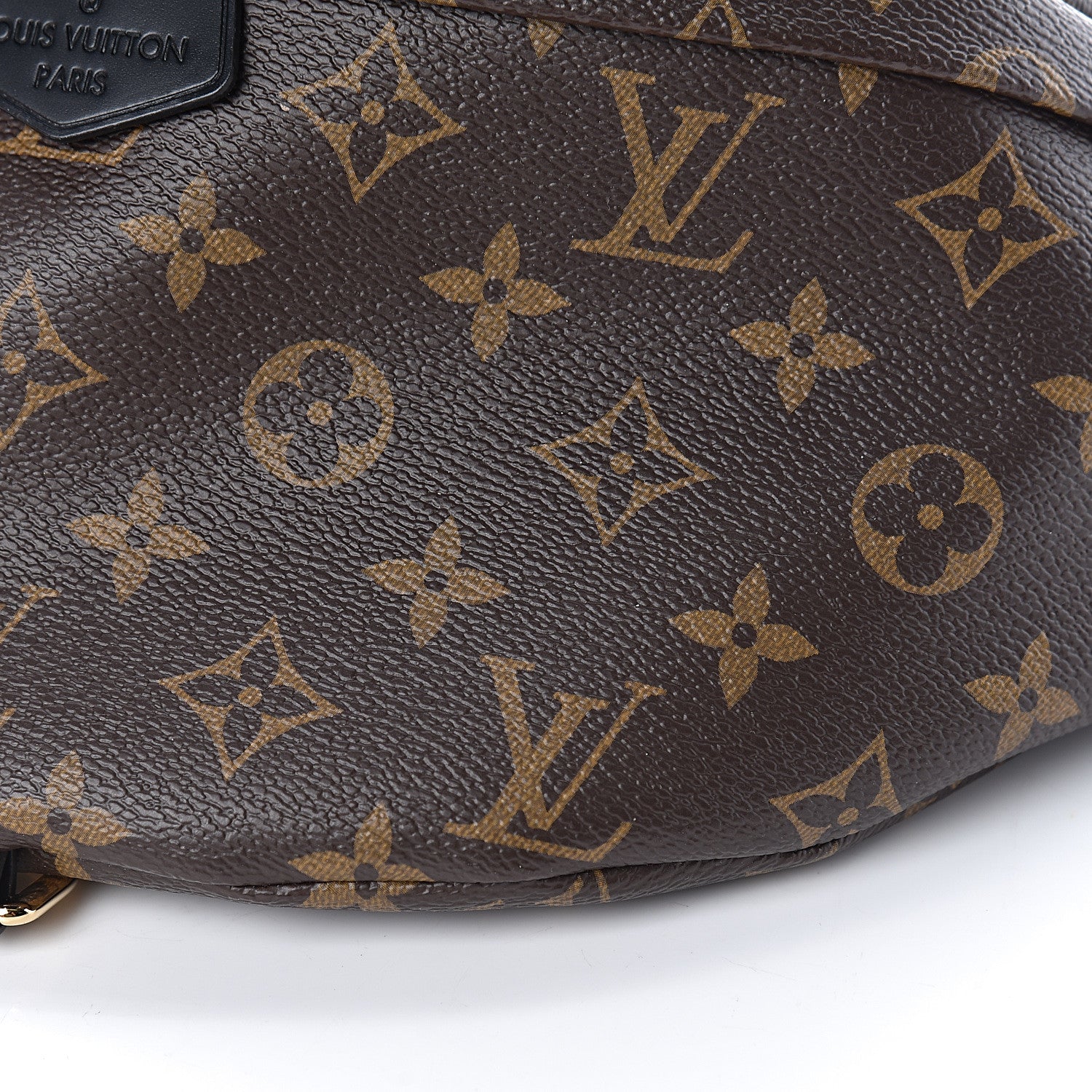 Louis Vuitton Monogram My LV World Tour Bumbag 9 of 10