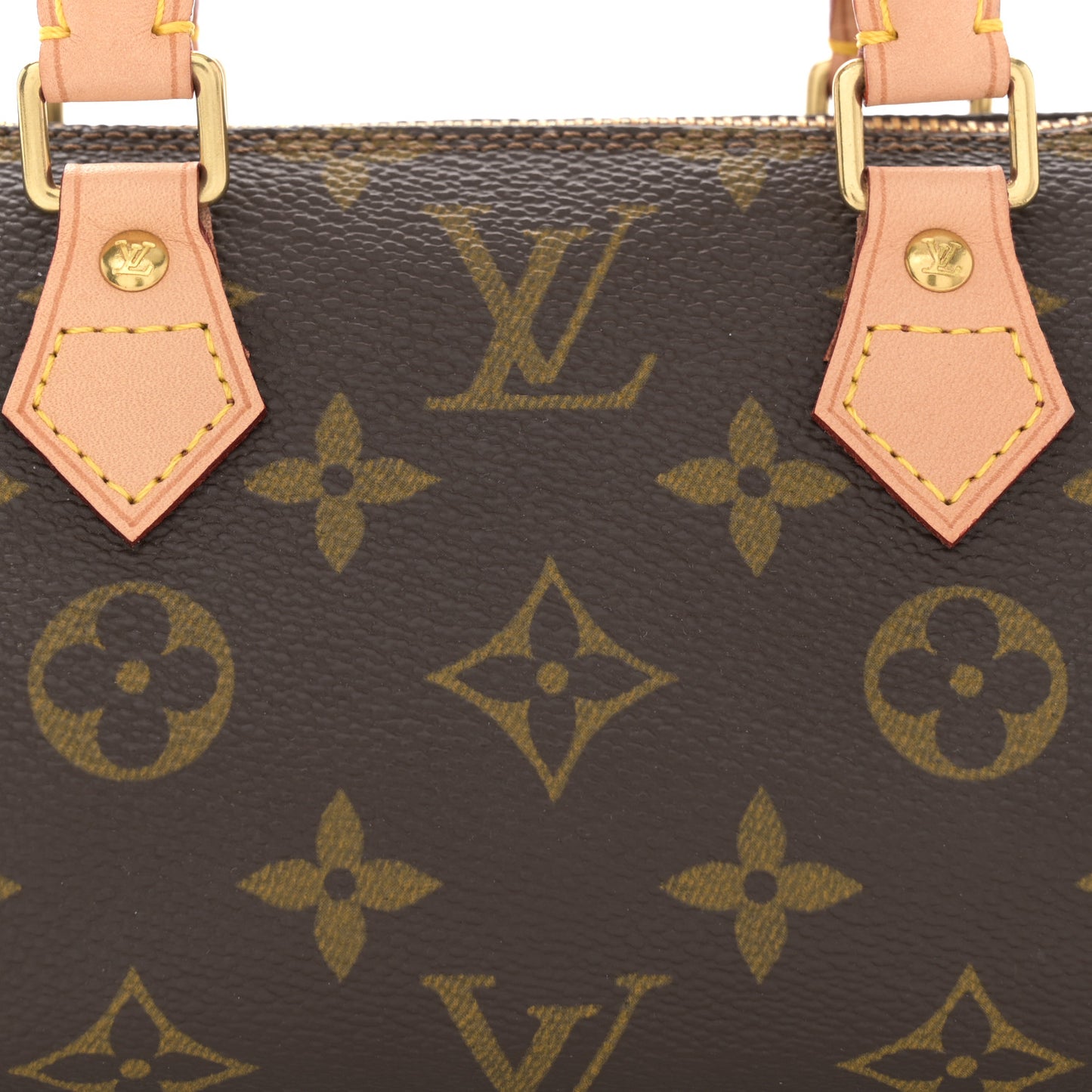 Monogram Mini Sac HL Speedy