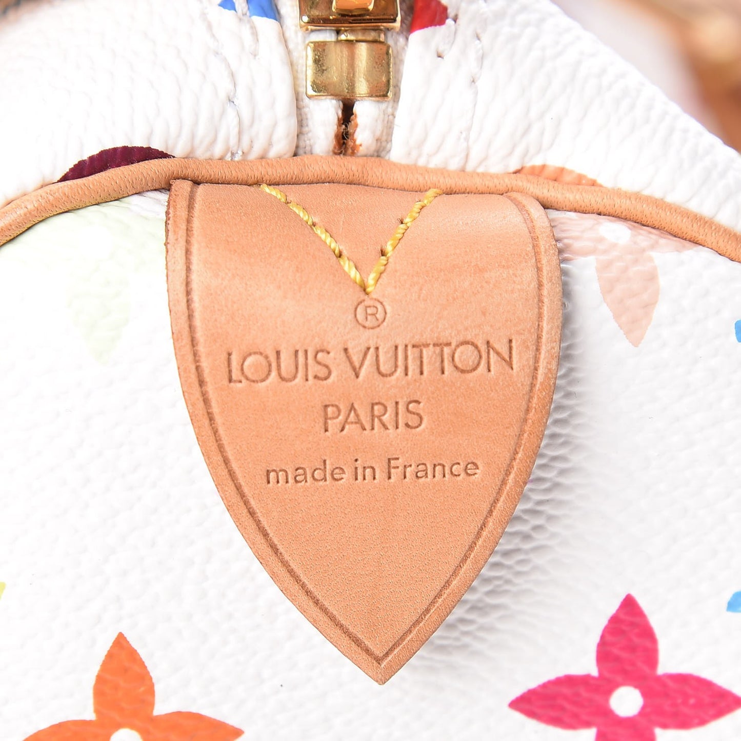 Monogram Multicolor Speedy 30 White