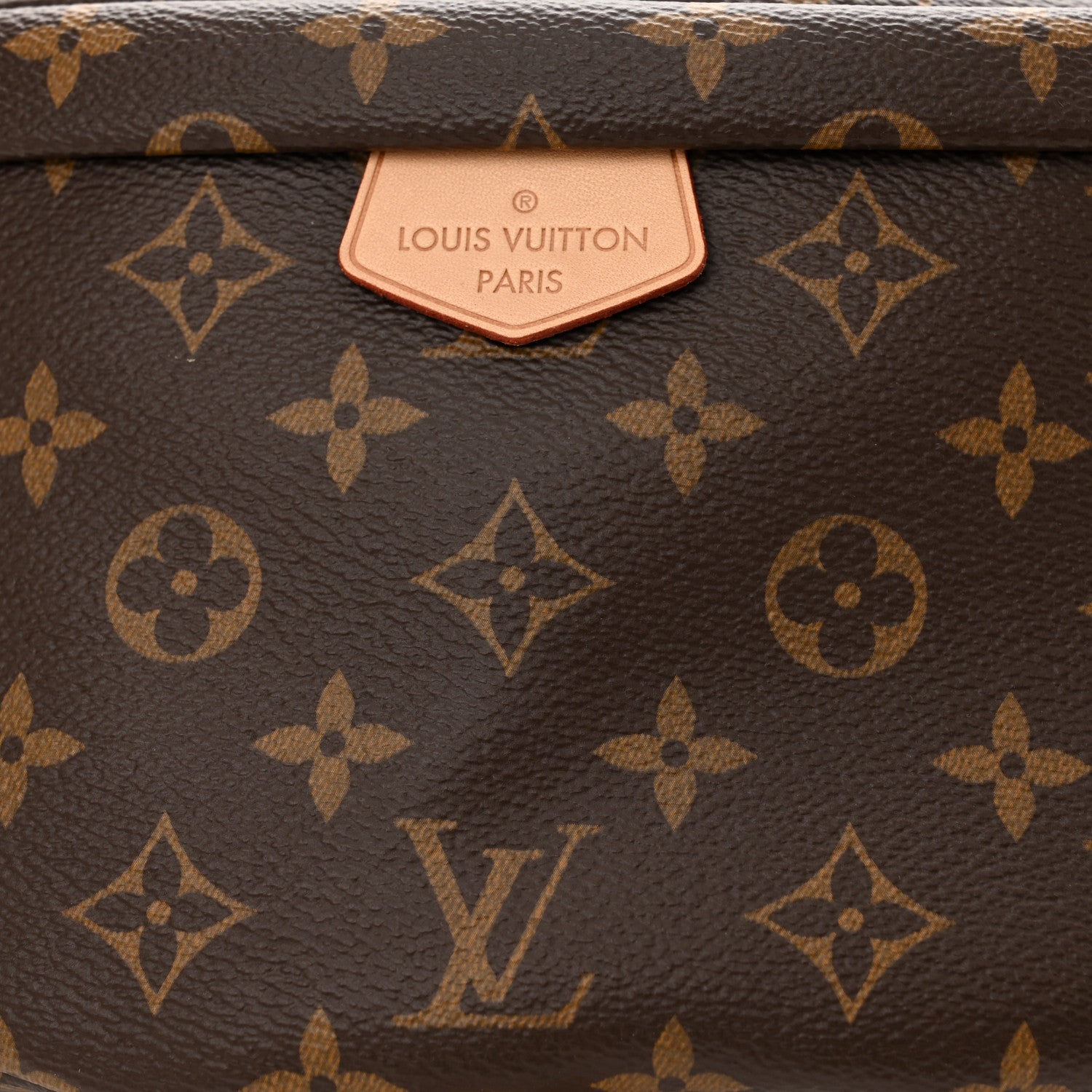 Louis Vuitton Monogram Bumbag 7 of 10