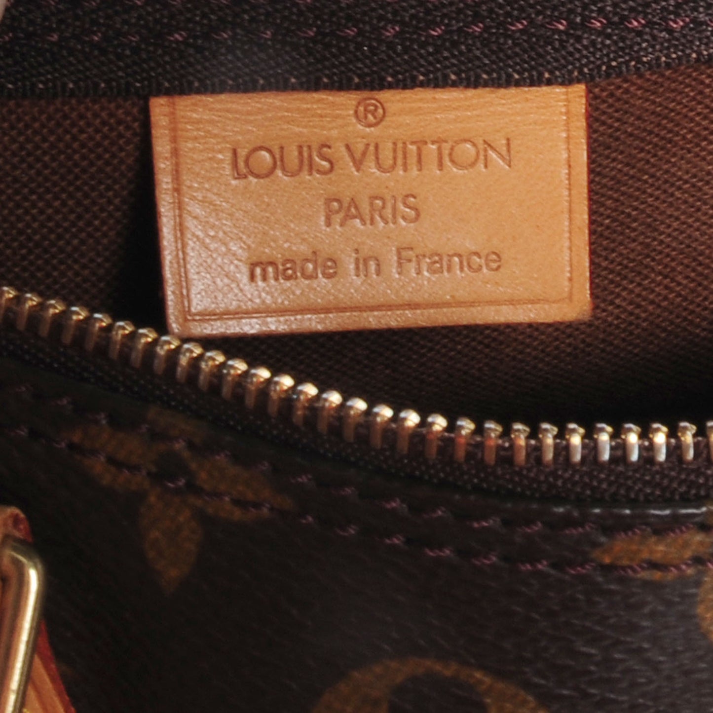 Monogram Mini Sac HL Speedy