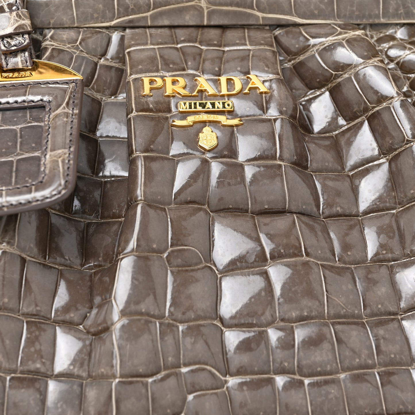 Crocodile Frame Shoulder Bag Grigio