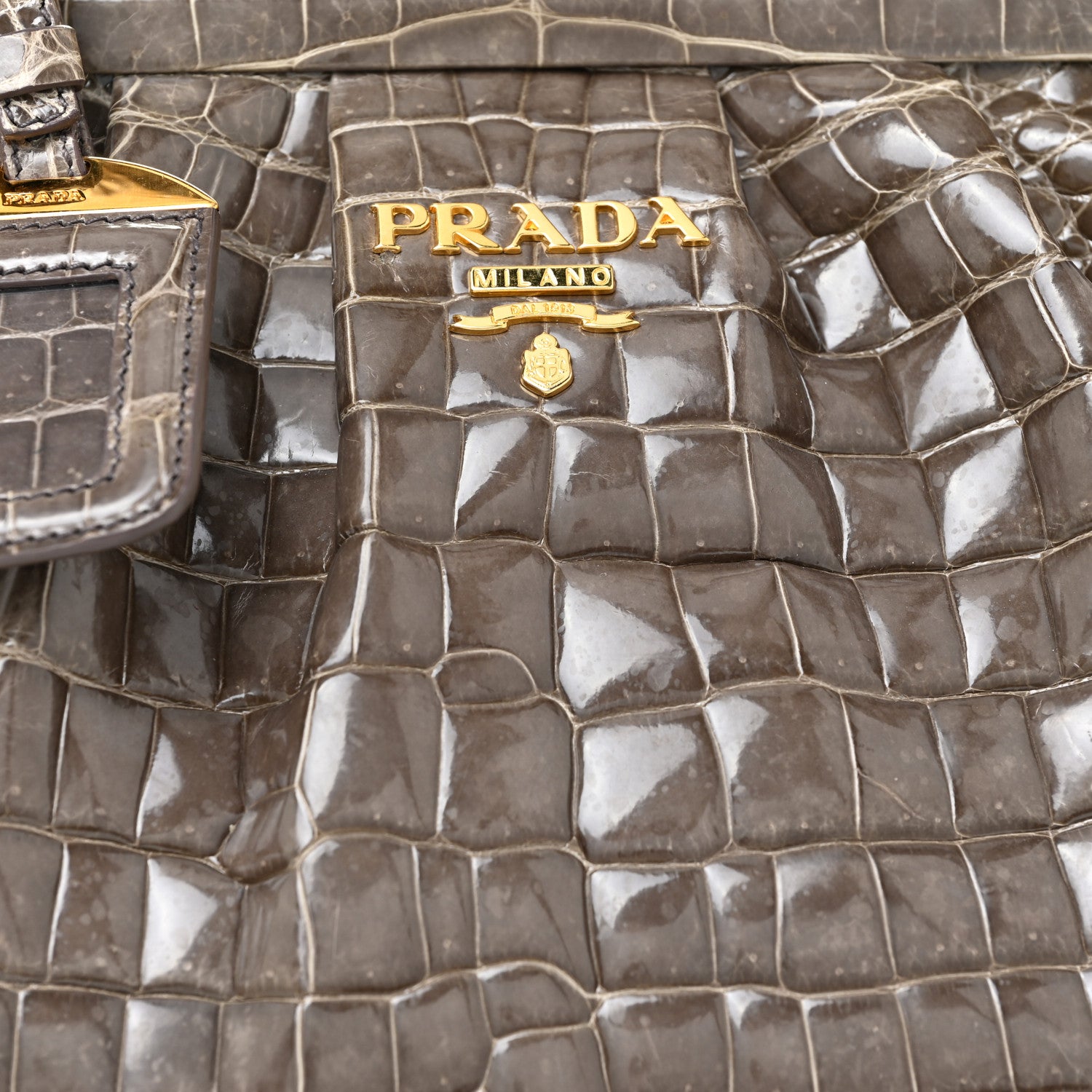 Prada Crocodile Frame Shoulder Bag Grigio 7 of 13
