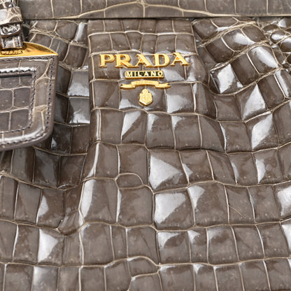 Prada Crocodile Frame Shoulder Bag Grigio 7 of 13