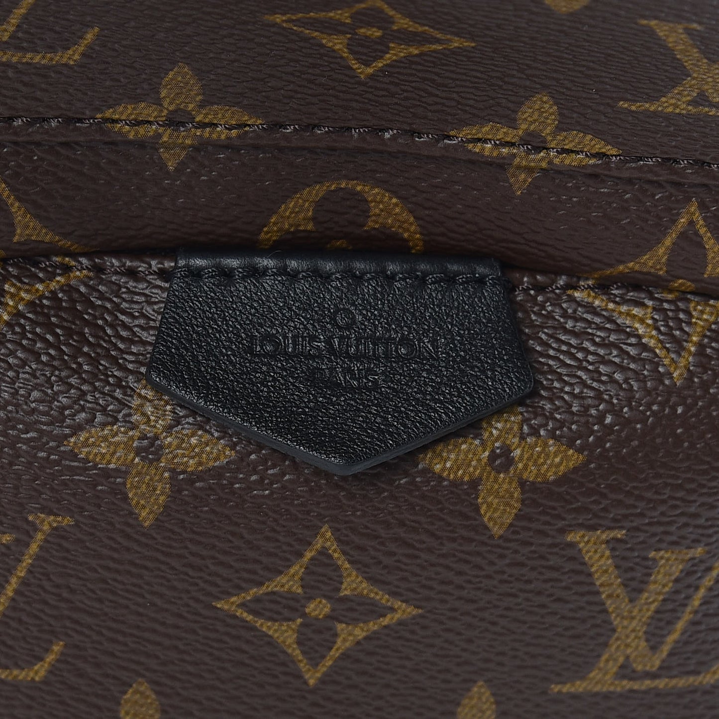 Monogram Palm Springs Backpack PM