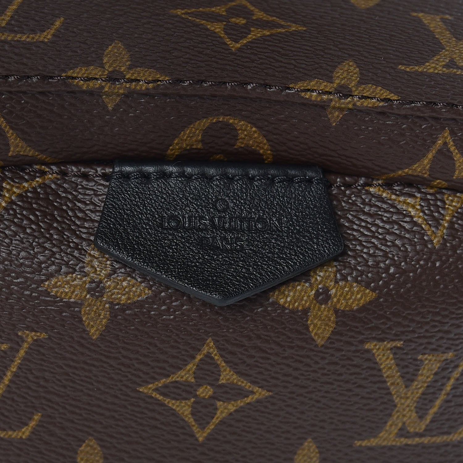 Louis Vuitton Monogram Palm Springs Backpack PM 6 of 11