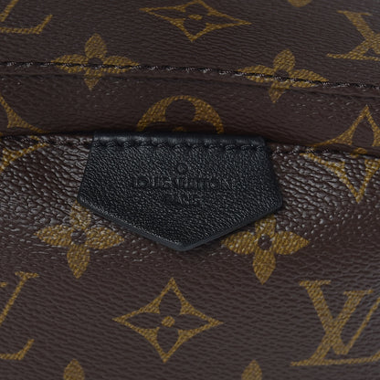Louis Vuitton Monogram Palm Springs Backpack PM 6 of 11
