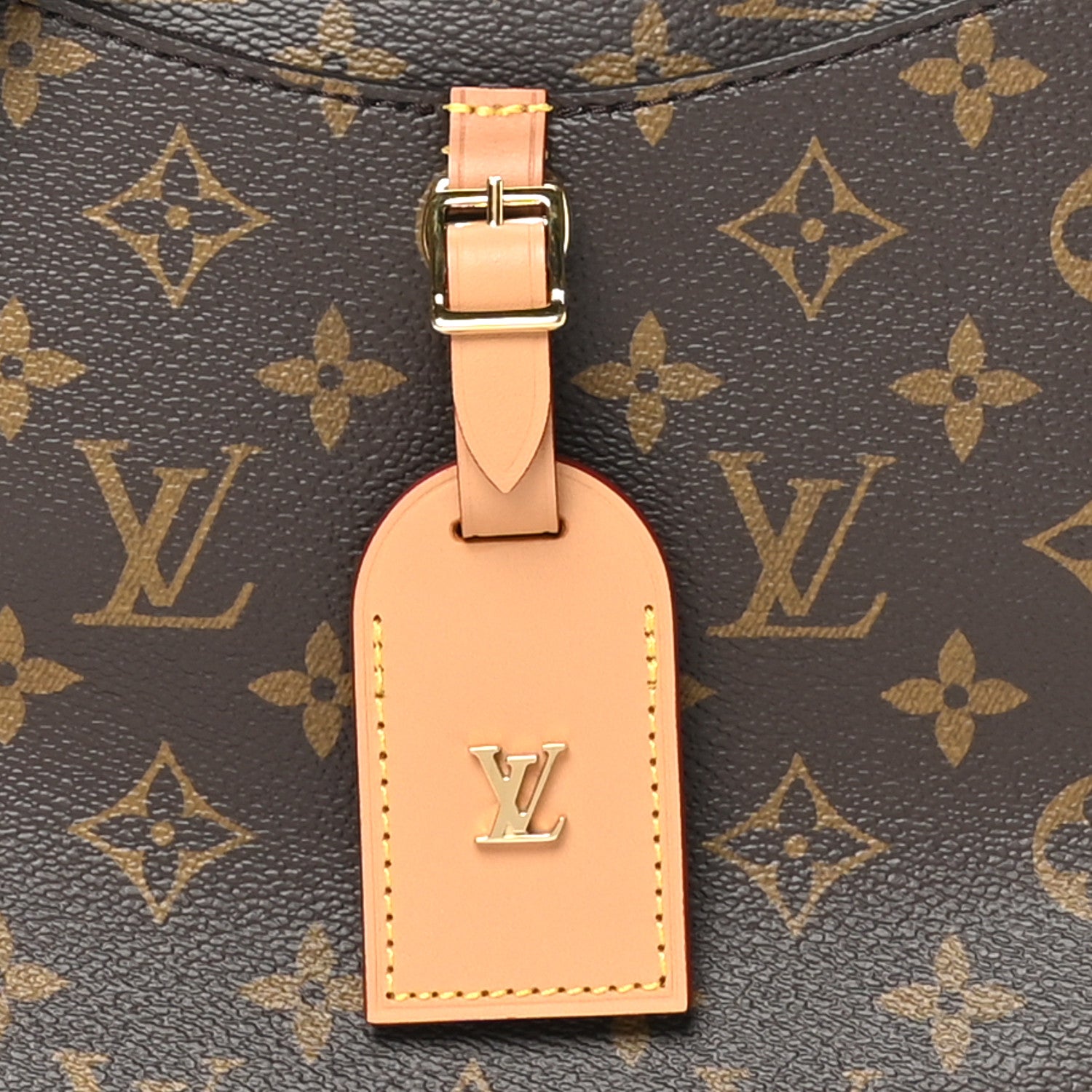 Louis Vuitton Monogram Odeon PM Natural 7 of 9
