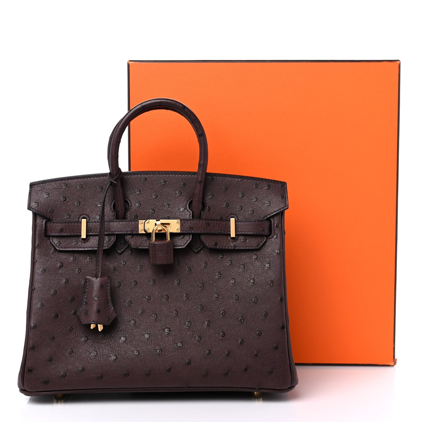 Ostrich Birkin 25 Rouge Sellier