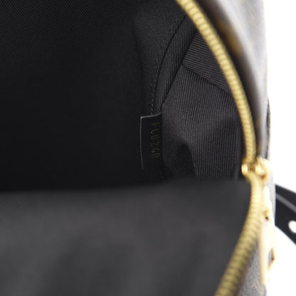 Louis Vuitton Monogram Palm Springs Backpack PM 6 of 10