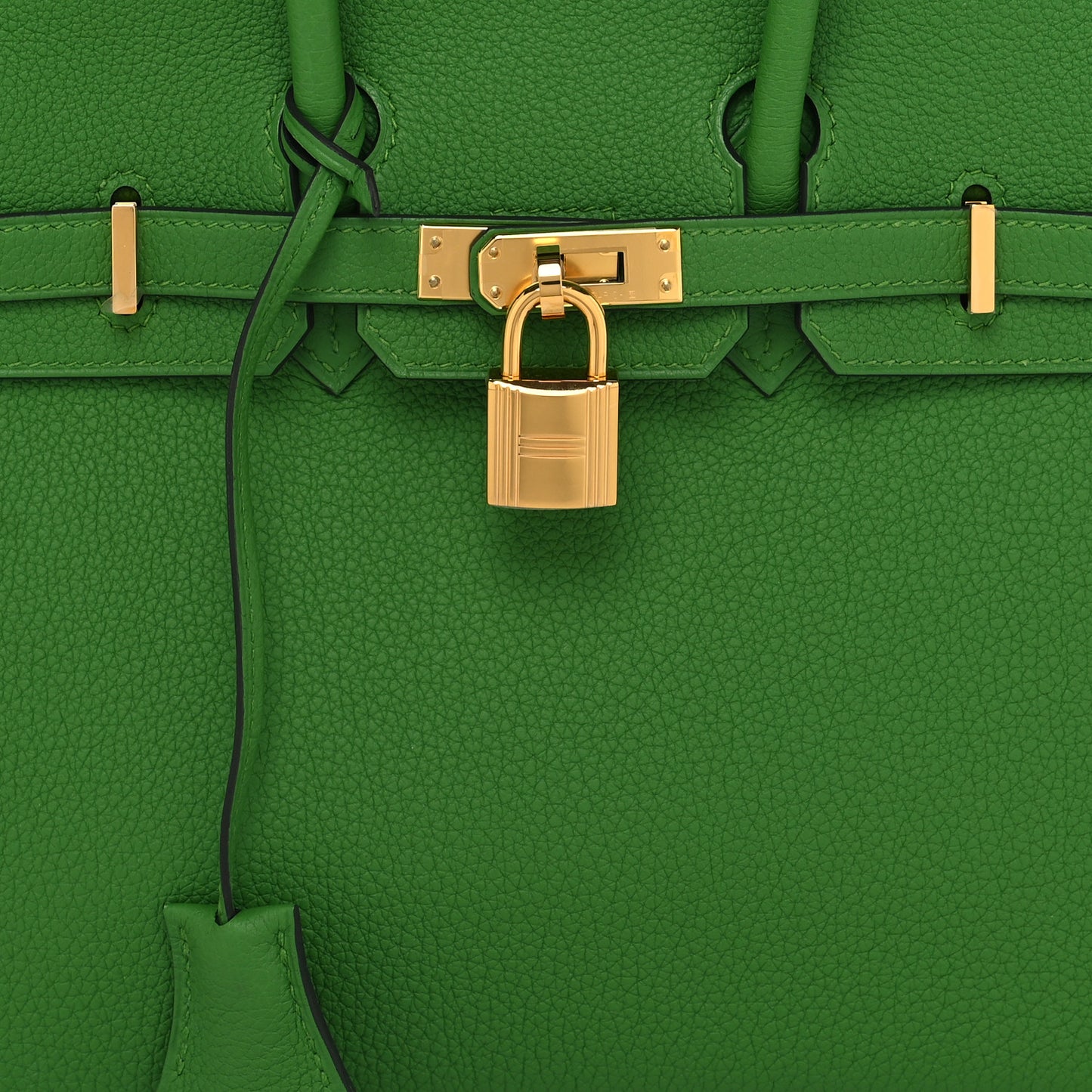 Togo Birkin 25 Vert Yucca