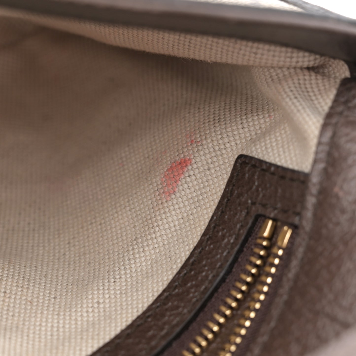 GG Supreme Monogram Textured Dollar Calfskin Blondie Chain Shoulder Flap Bag Beige Ebony New Acero