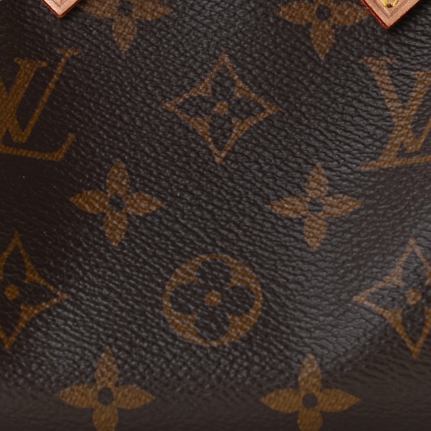 Monogram Nano Speedy