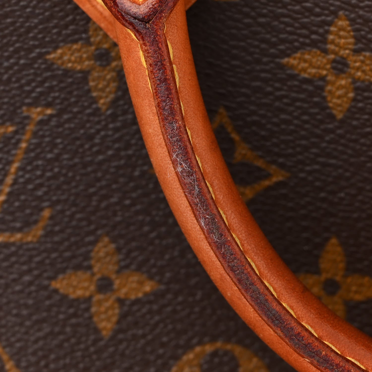 Louis Vuitton Monogram Alma PM 19 of 20