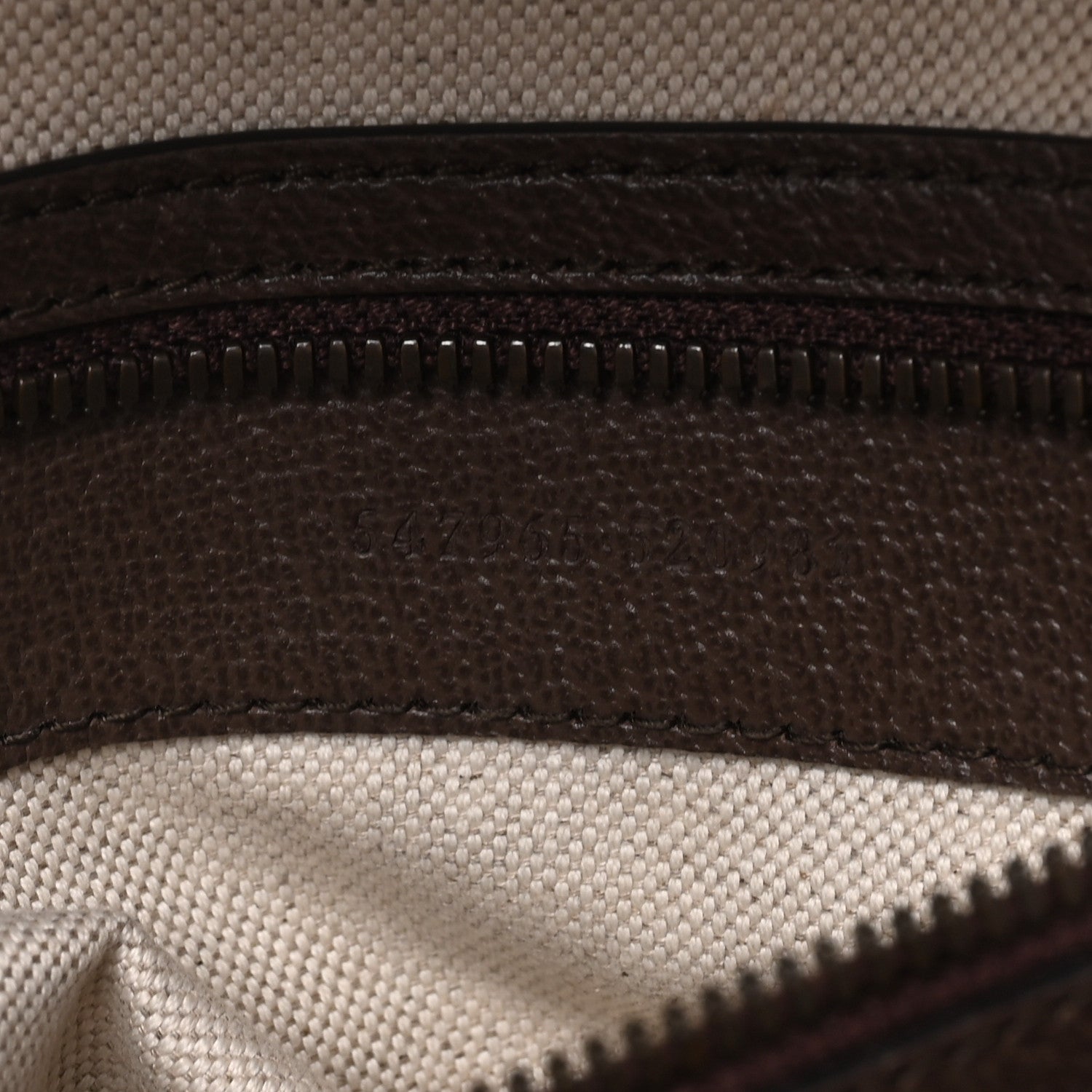 Gucci GG Supreme Monogram Textured Dollar Calfskin Web Small Ophidia Day Backpack Beige Ebony Fluorescent Fuchsia 6 of 11