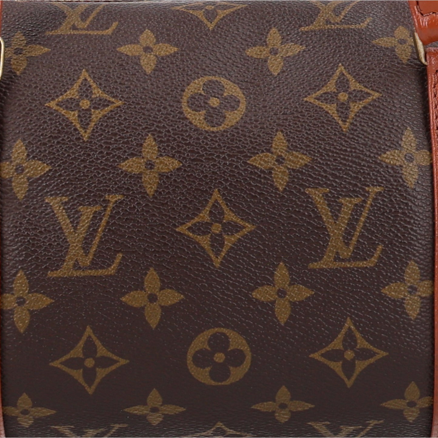 Monogram Papillon 30