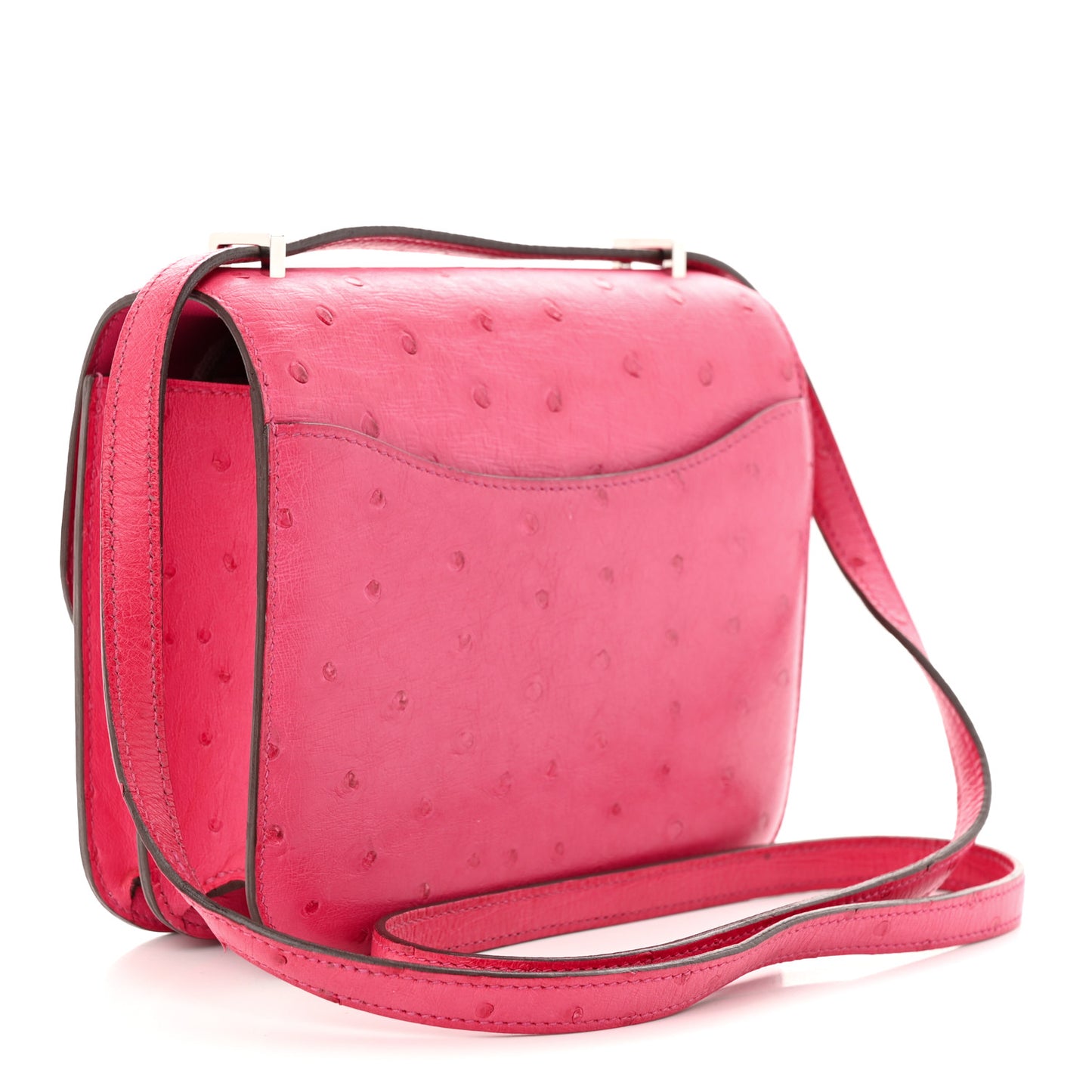 Ostrich Constance 18 Rose Pourpre
