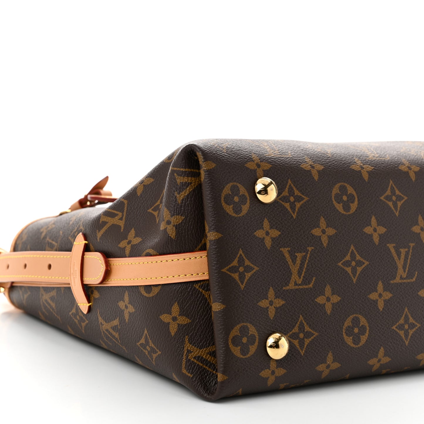 Monogram CarryAll PM