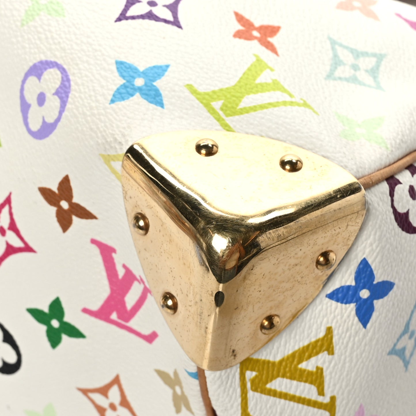 Monogram Multicolor Speedy 30 White
