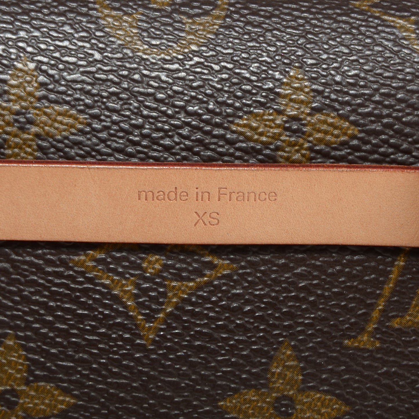 Monogram Pochette Florentine XS