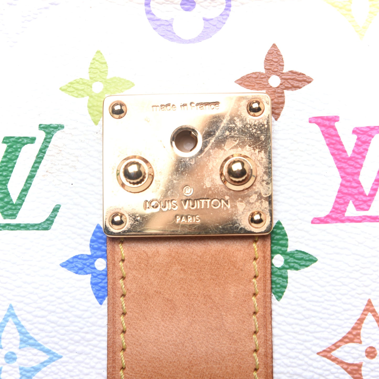 Monogram Multicolor Speedy 30 White