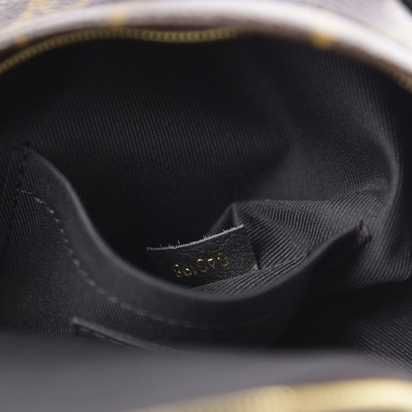 Monogram Palm Springs Backpack Mini