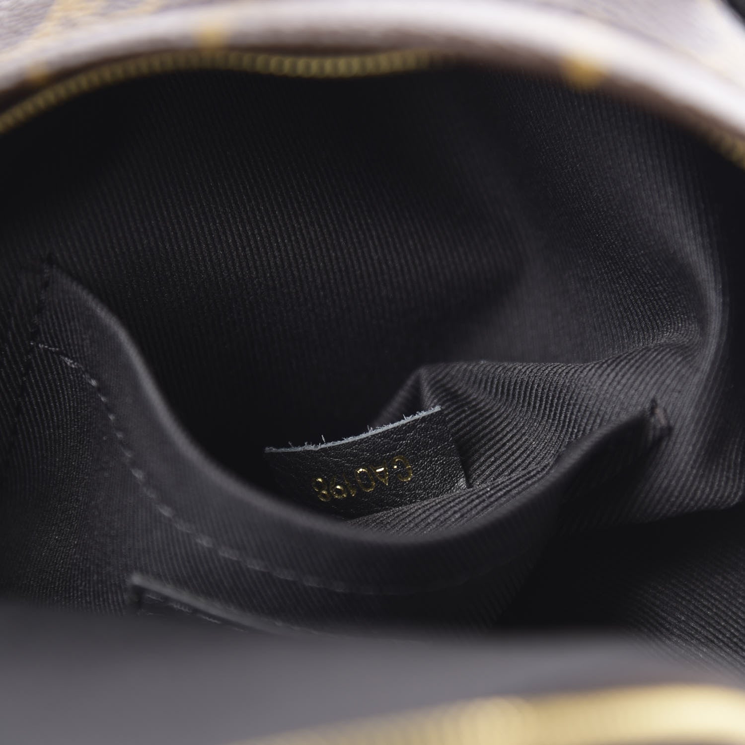 Louis Vuitton Monogram Palm Springs Backpack Mini 8 of 9