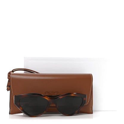 Celine Acetate Triomphe 17 Sunglasses CL40323U Classic Havana 7 of 7