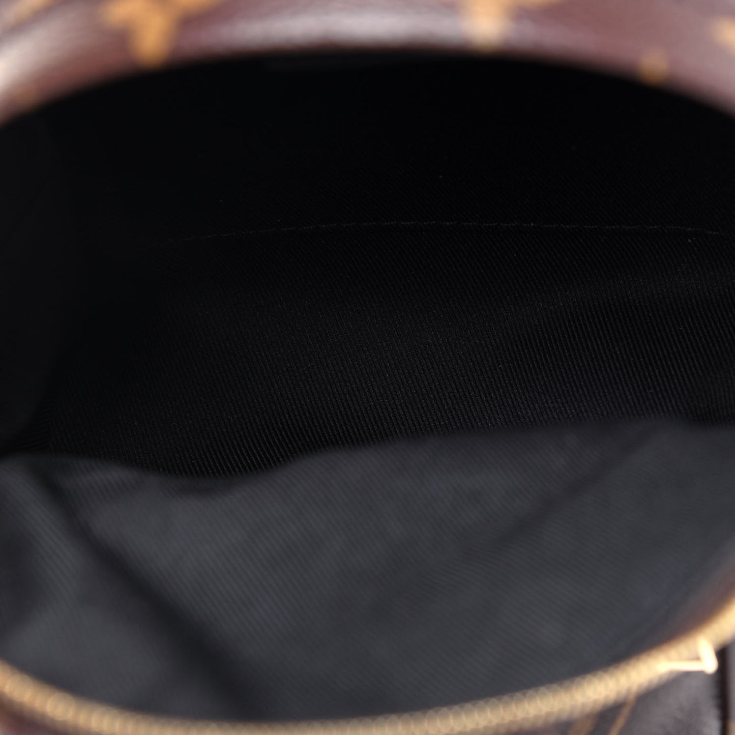 Monogram Palm Springs Backpack Mini
