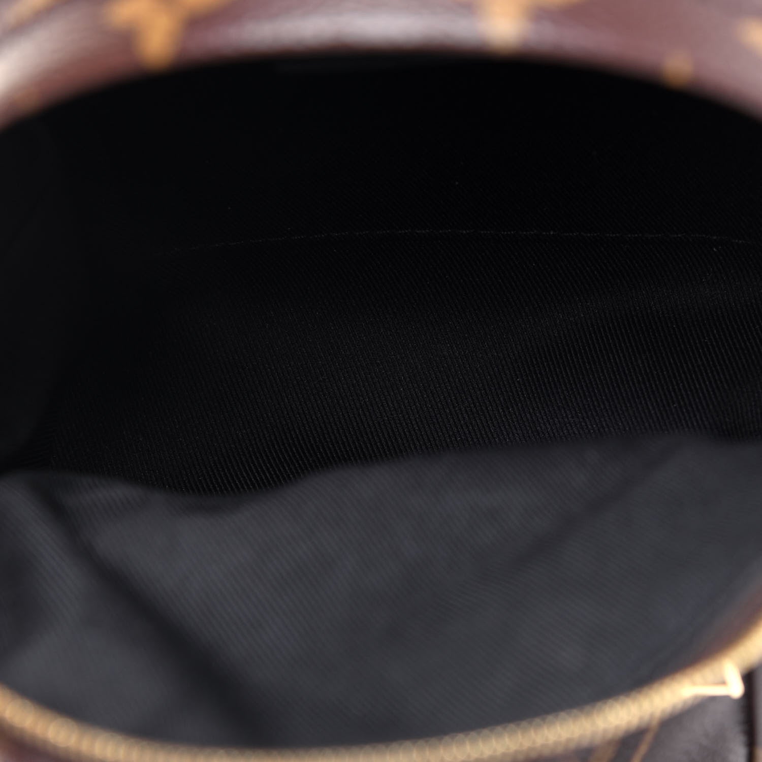 Louis Vuitton Monogram Palm Springs Backpack Mini 4 of 12