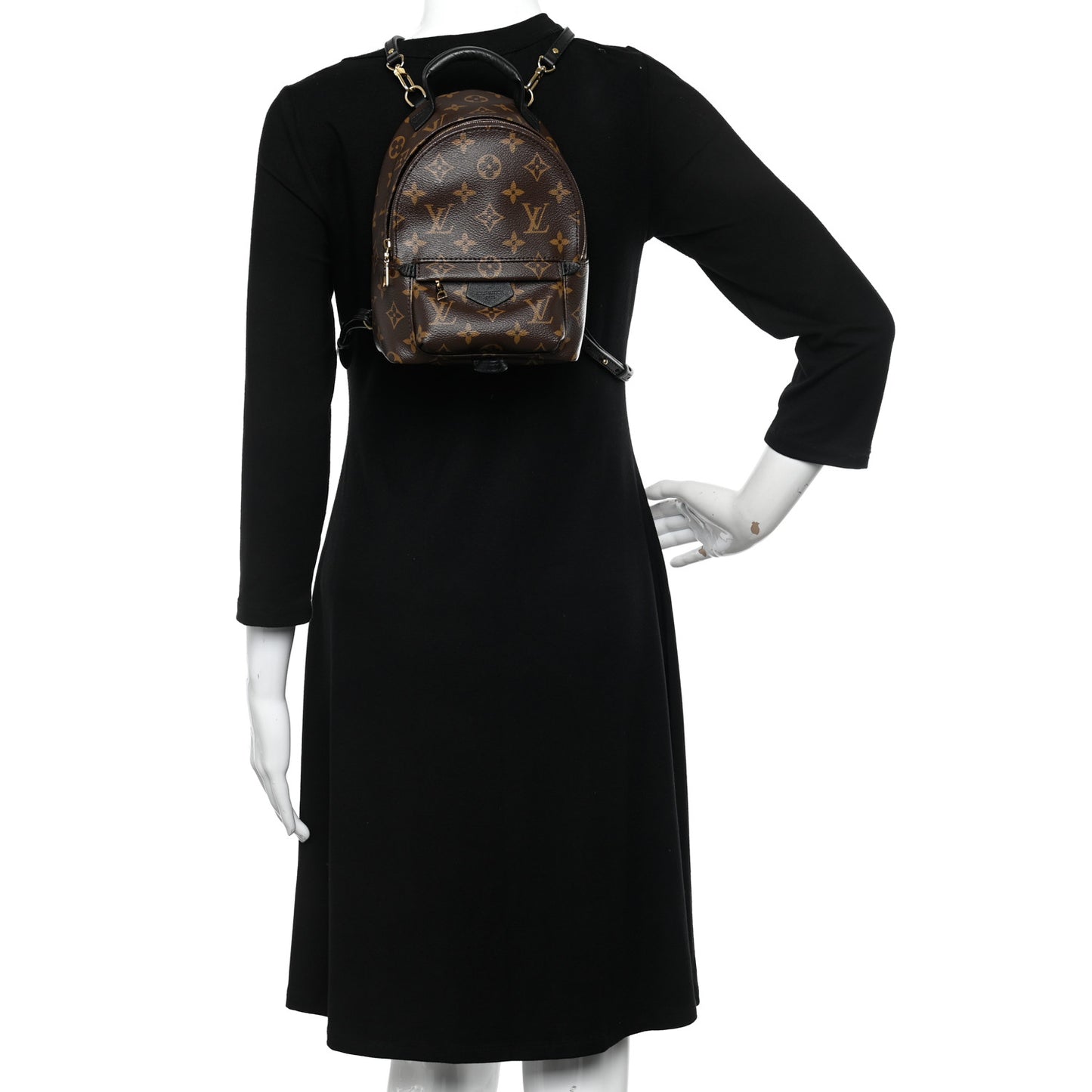 Monogram Palm Springs Backpack Mini