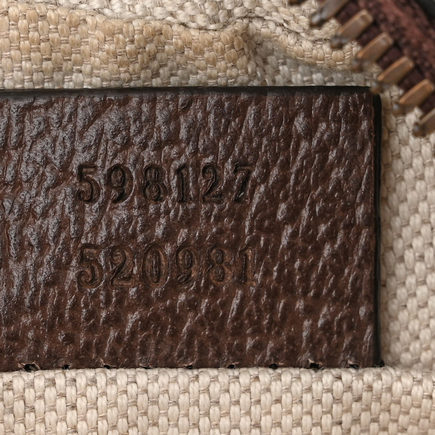 GG Supreme Monogram Web Mini Ophidia Messenger Brown