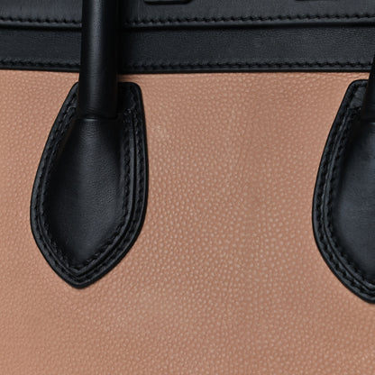 Celine Velluto Calfskin Mini Tri-Color Luggage Flesh 5 of 5