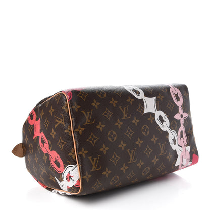Louis Vuitton Monogram Bay Speedy 30 Rose Ballerine Poppy 4 of 8