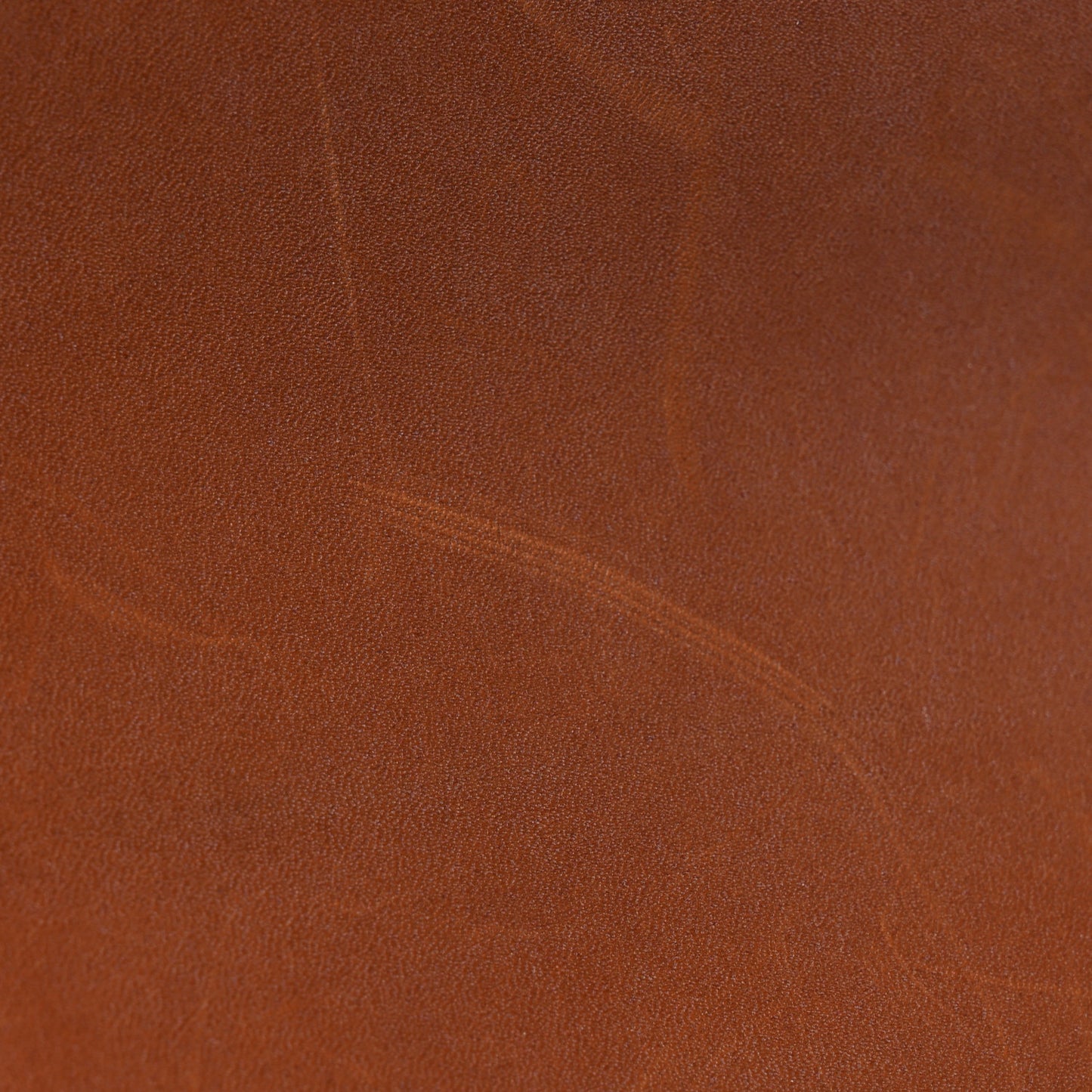 Barenia Rejane BB Cognac