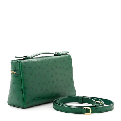 Loro Piana Ostrich L19 Extra Pocket Pouch Forest Leaves 2 of 10