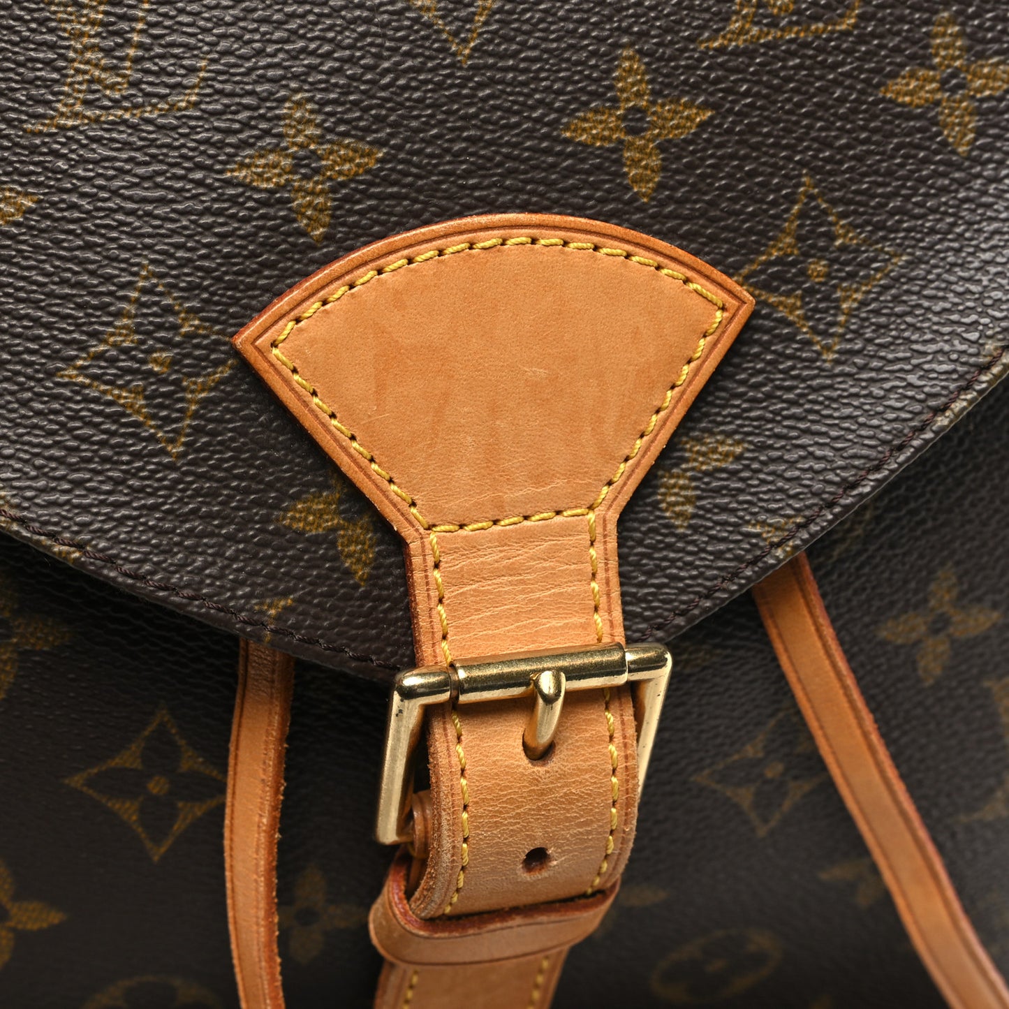 Monogram Montsouris GM Backpack