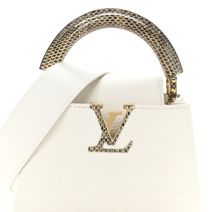 Louis Vuitton Taurillon Ayers Capucines Mini White Snow White 7 of 10