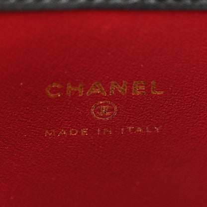 Chanel Pony Hair Cheetah Printed CC Chain Bucket Bag Light Beige Black 6 of 11