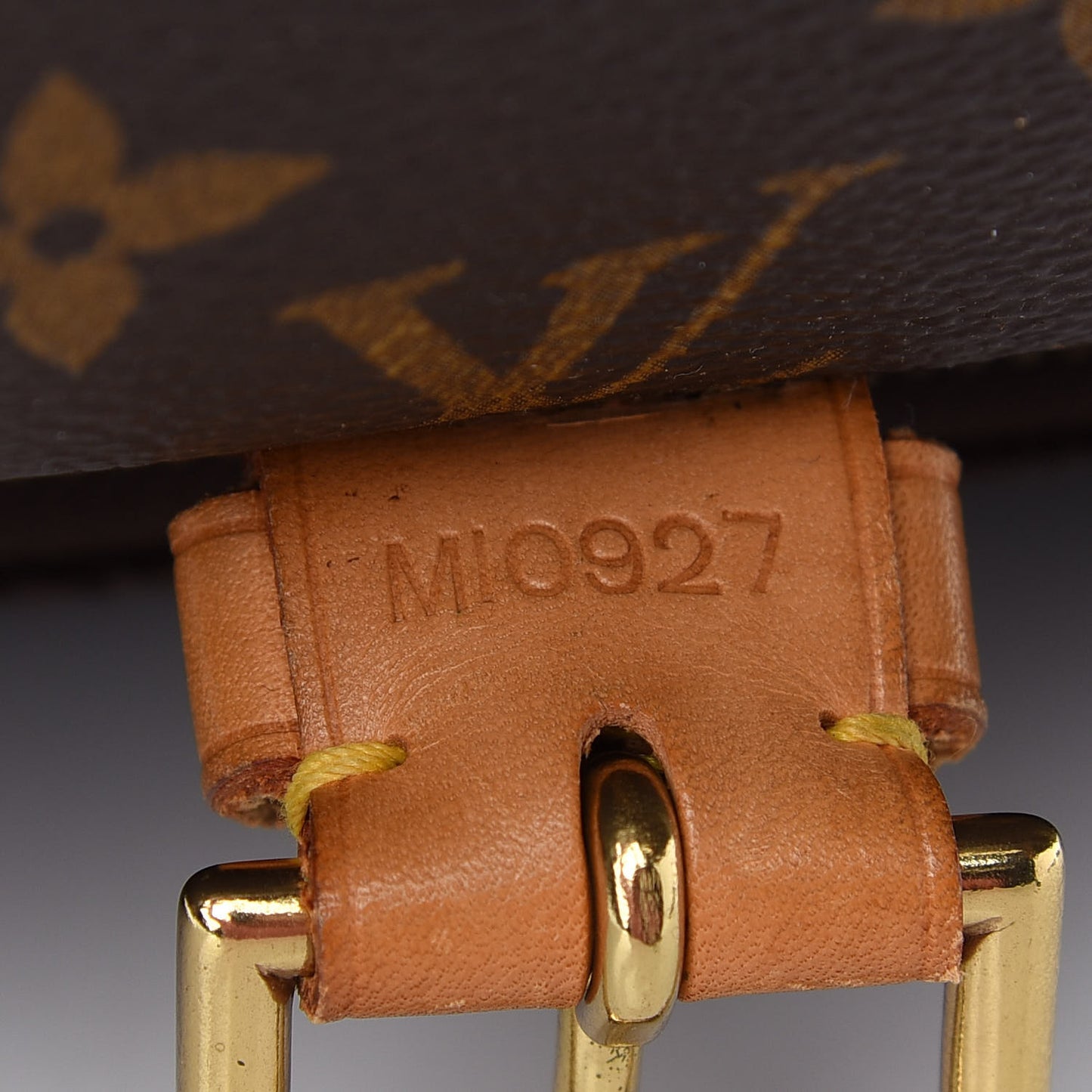 Monogram Montsouris GM Backpack